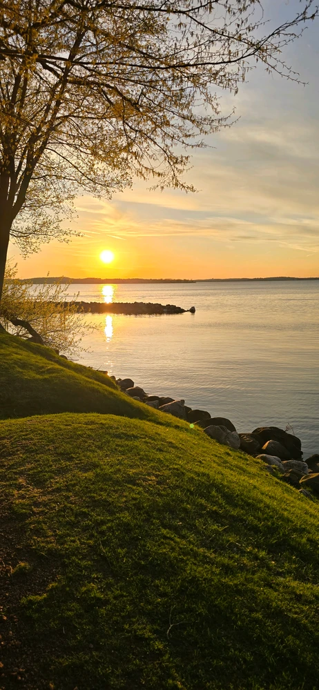 GIF uploaded by D'Sean