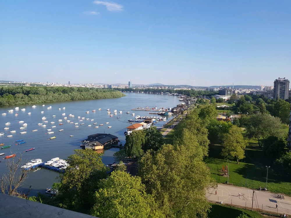 GIF uploaded by Željko