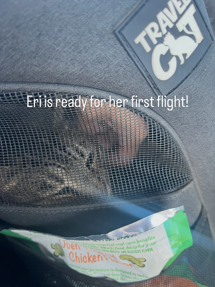 A brown tabby is getting scritches while inside a travel cat backpack. Text states that,”Eri is ready for her first flight!”