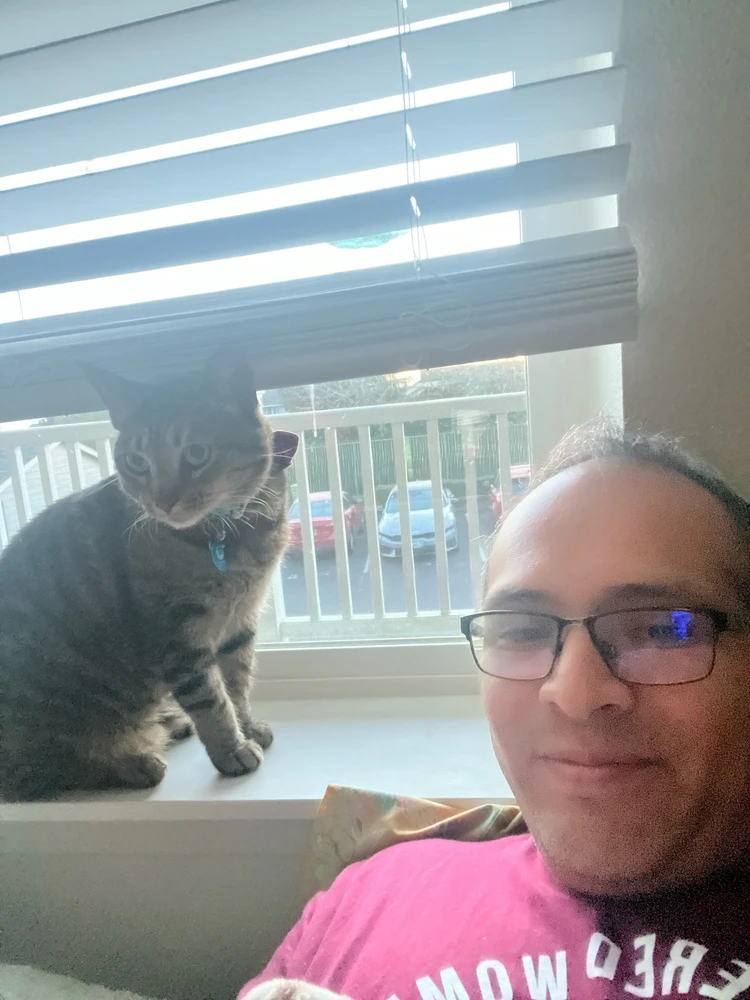 A person in a maroon shirt looks at the camera next to a brown tabby that looks curious. The tabby has a collar with a bow on
