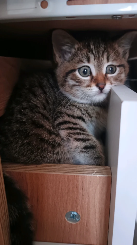 GIF загрузил Дарья