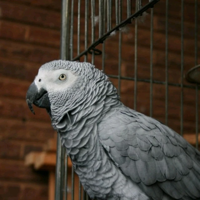 GIF uploaded by Sarah