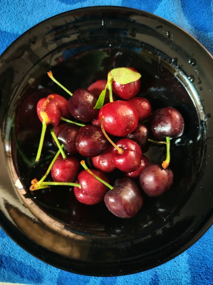 GIF uploaded by Dan