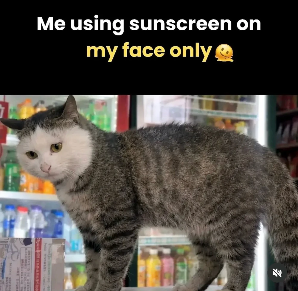 GIF uploaded by Luna