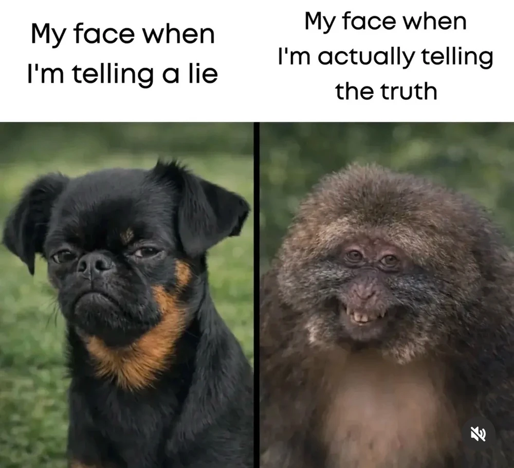 GIF uploaded by Luna