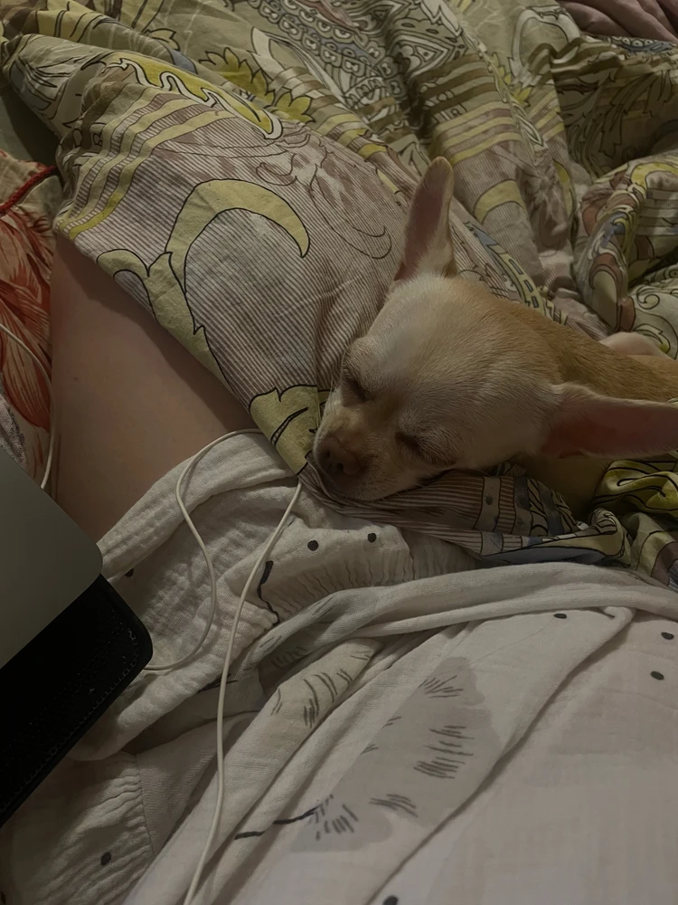 GIF uploaded by Antonina