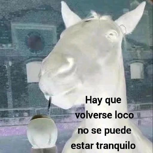 GIF uploaded by Meli