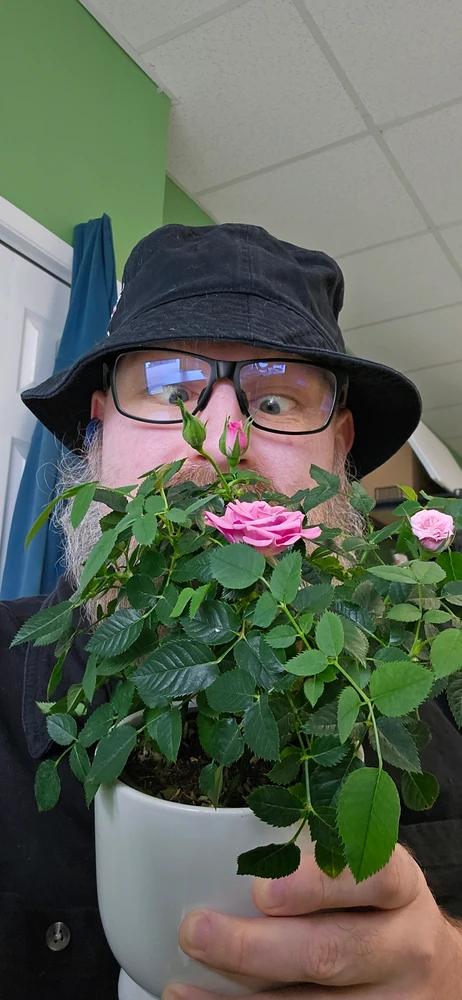 GIF uploaded by Matt