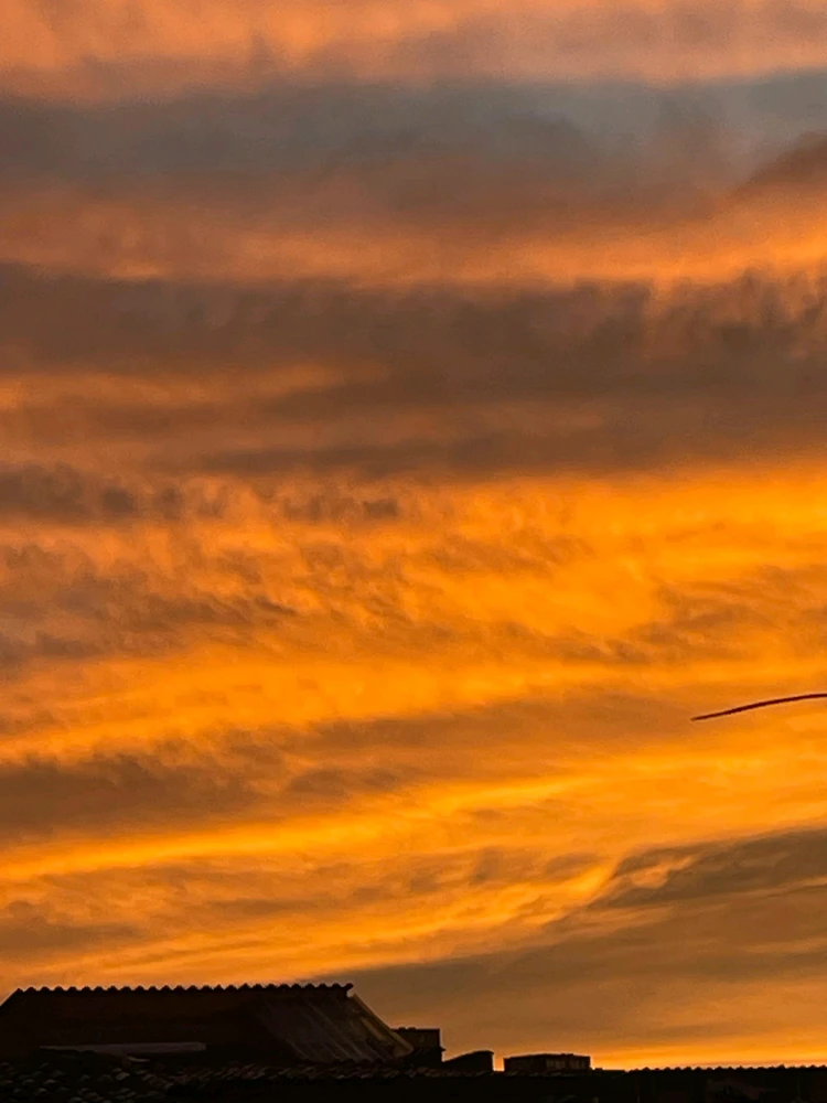 GIF uploaded by Tomas villadiego Mora