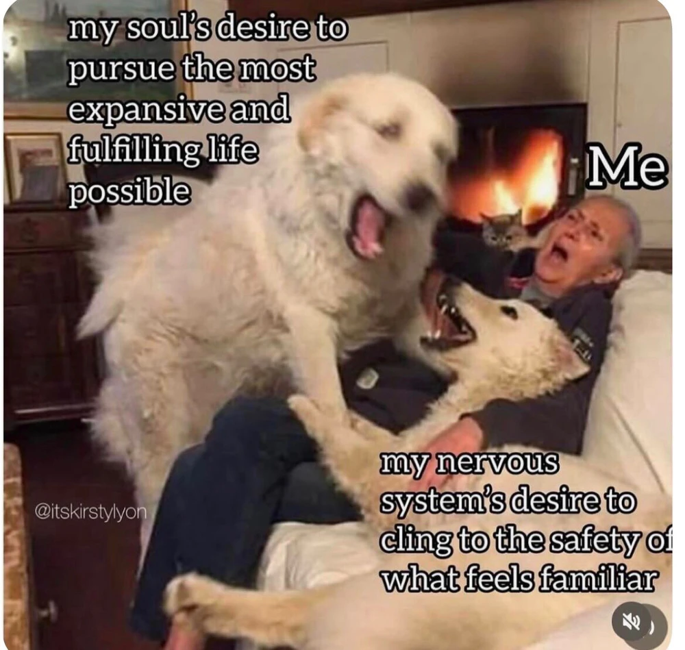 GIF uploaded by Anina