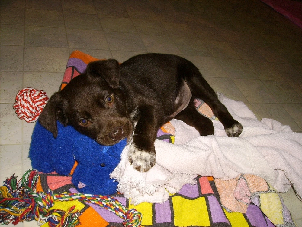 Image uploaded by Lunais