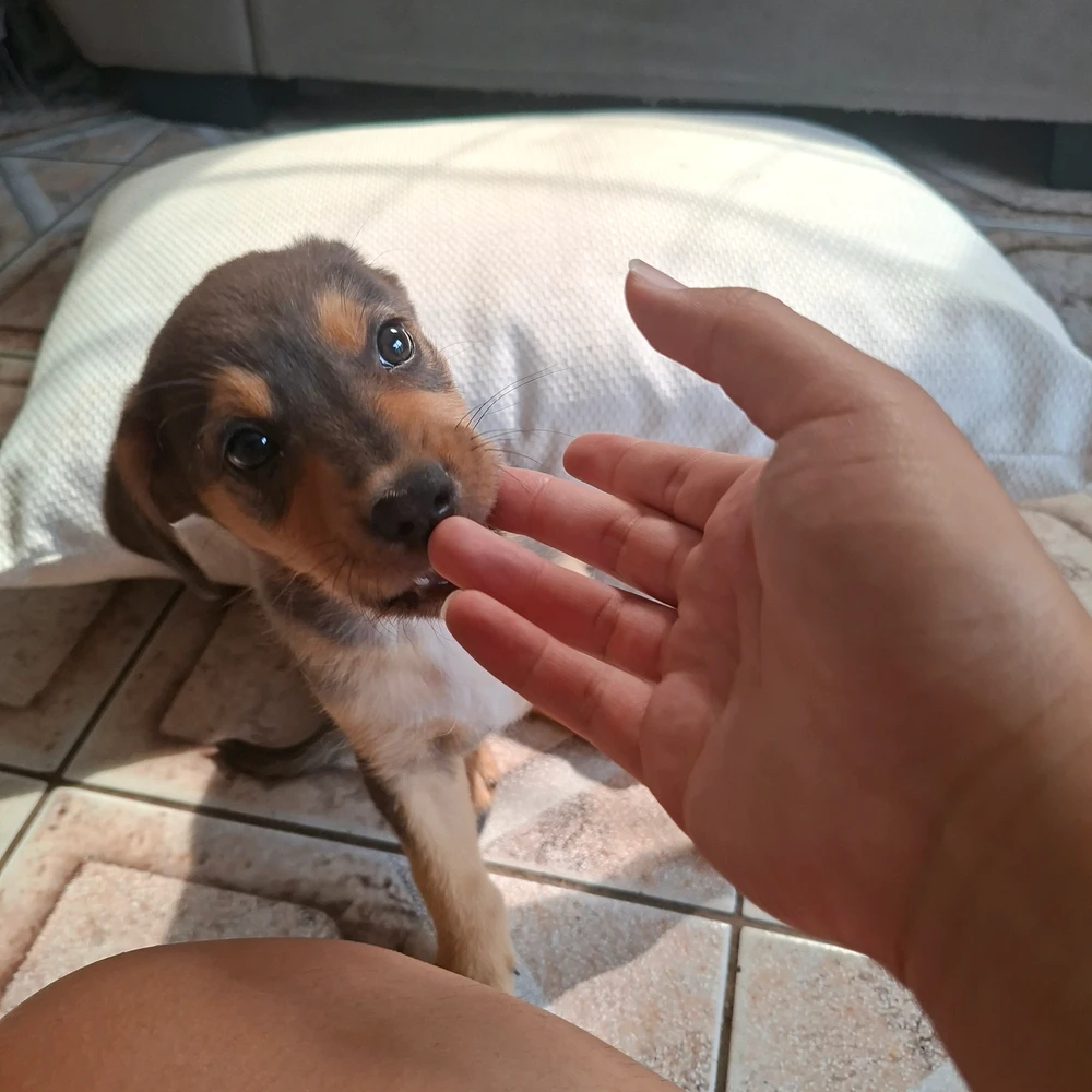 Duab xa los ntawm Laura