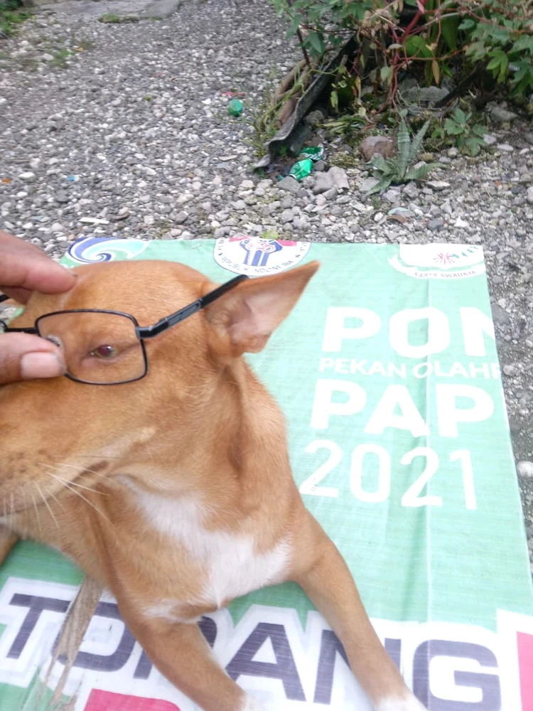 GIF uploaded by Catherine Hellenshia