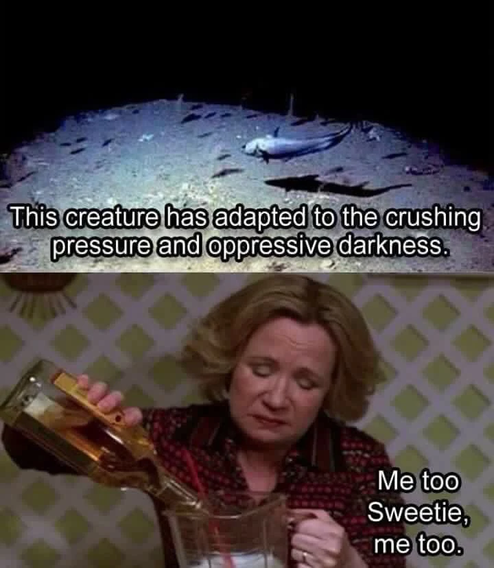 GIF uploaded by Anina