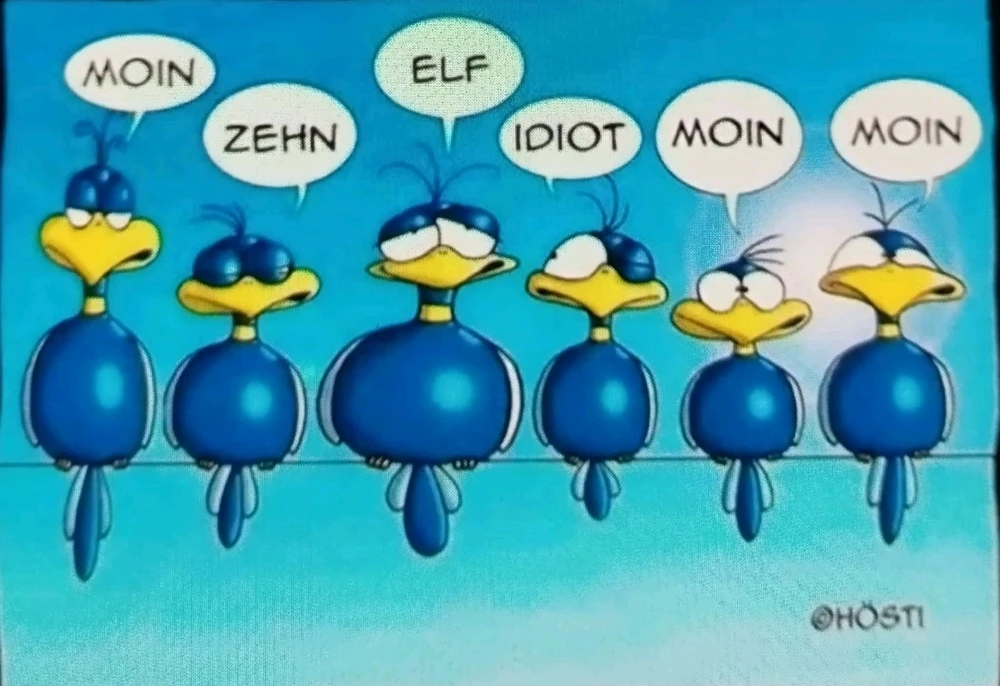 Bild hochgeladen von Teasy