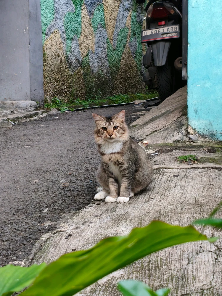 GIF uploaded by Mu'in Mundzir