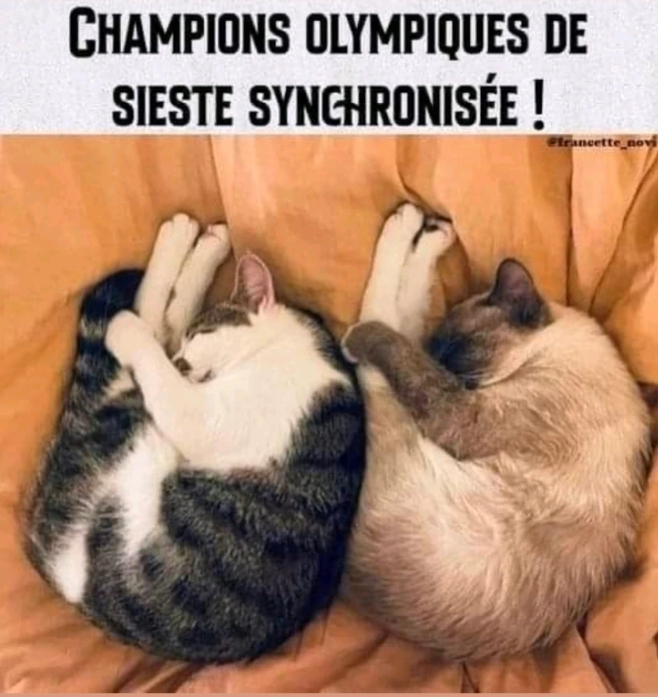 Image ajoutée par Matthieu 🐻