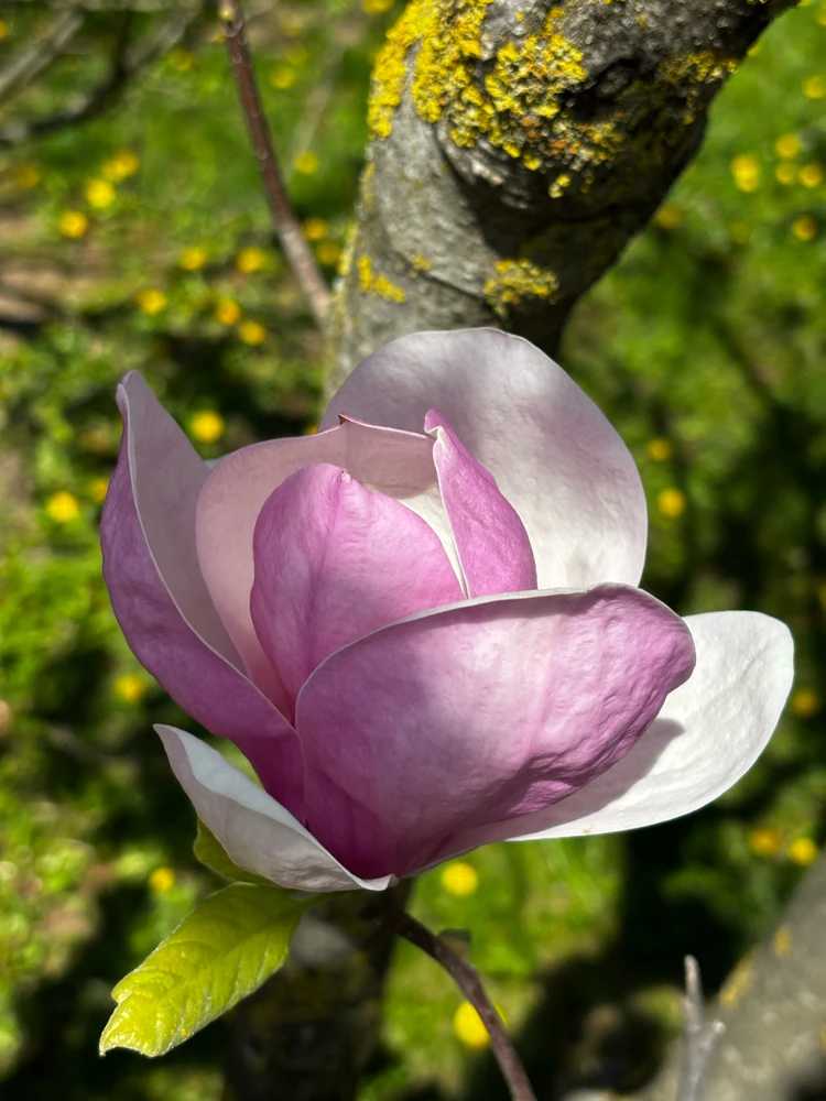 GIF uploaded by Max