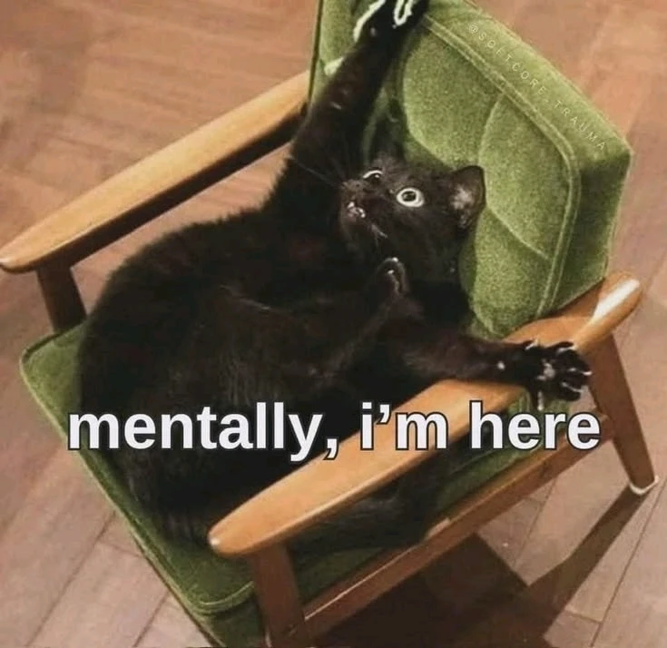 GIF hochgeladen von Kivi