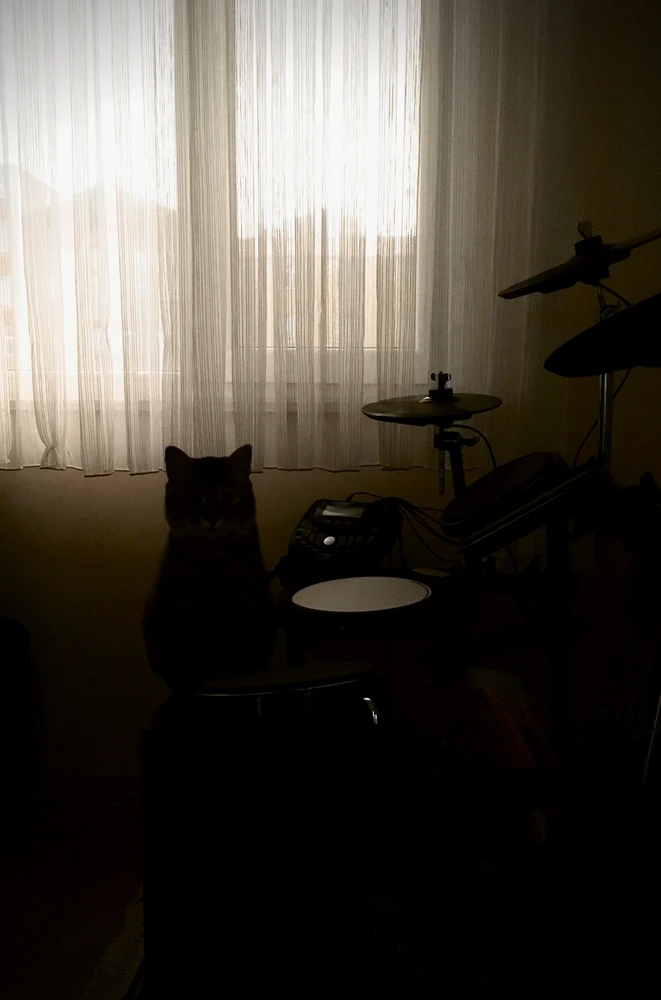 GIF uploaded by Milo