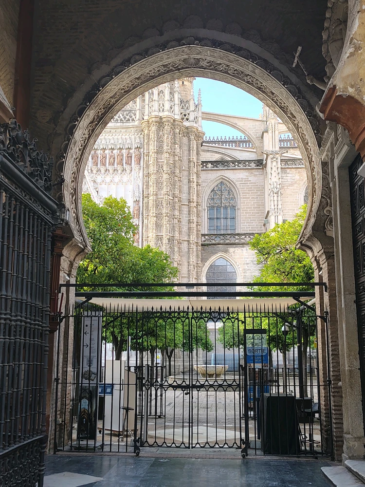 GIF uploaded by Manuel Cardero