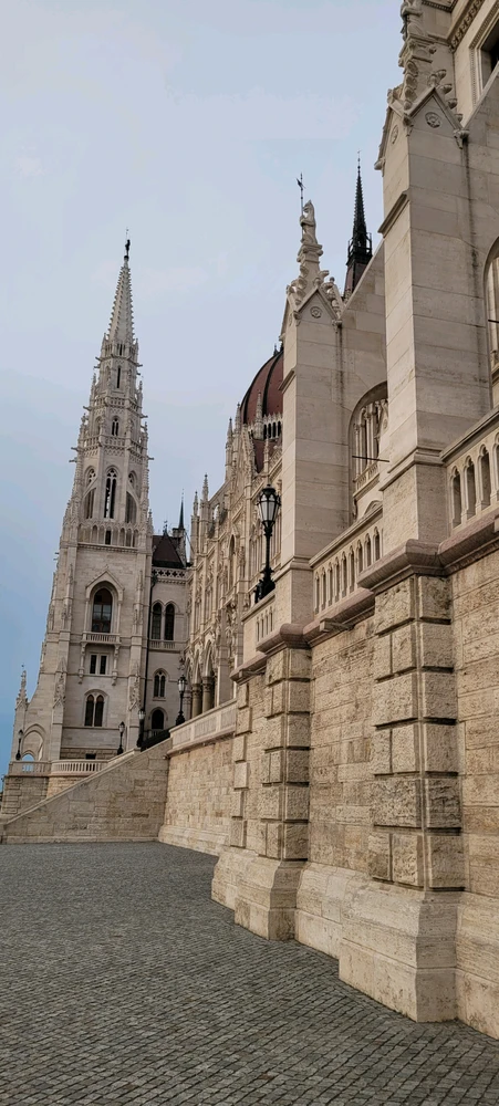 Image uploaded by Oliver