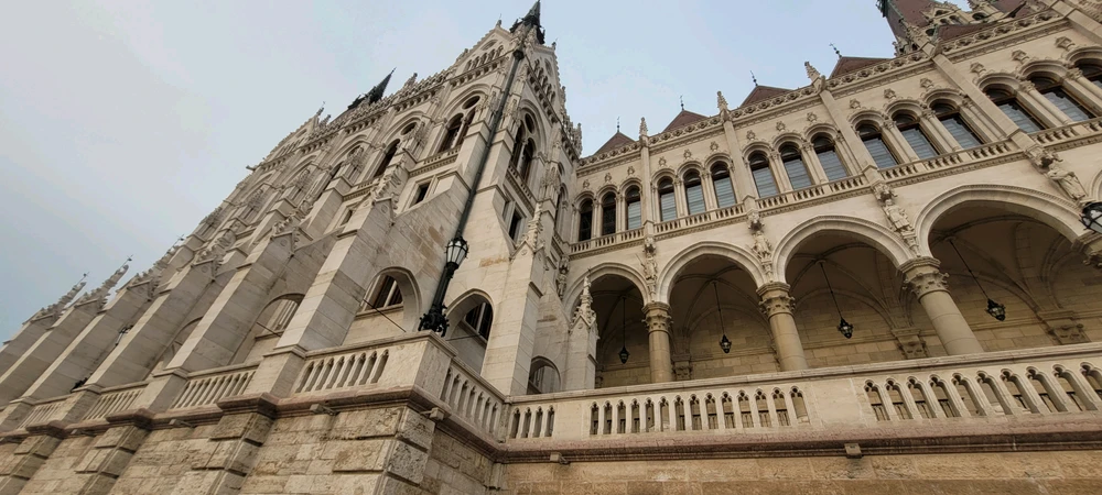 Image uploaded by Oliver