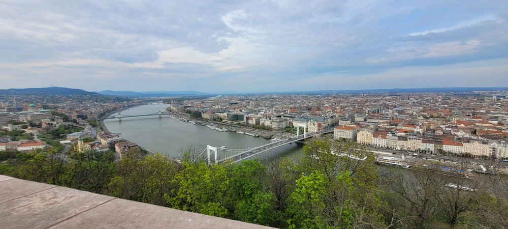 Image uploaded by Oliver