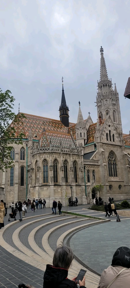 Image uploaded by Oliver