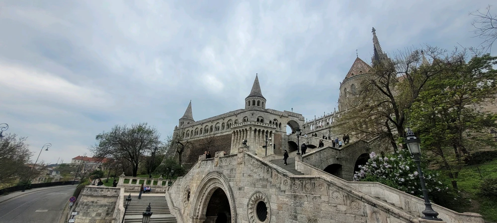 Image uploaded by Oliver