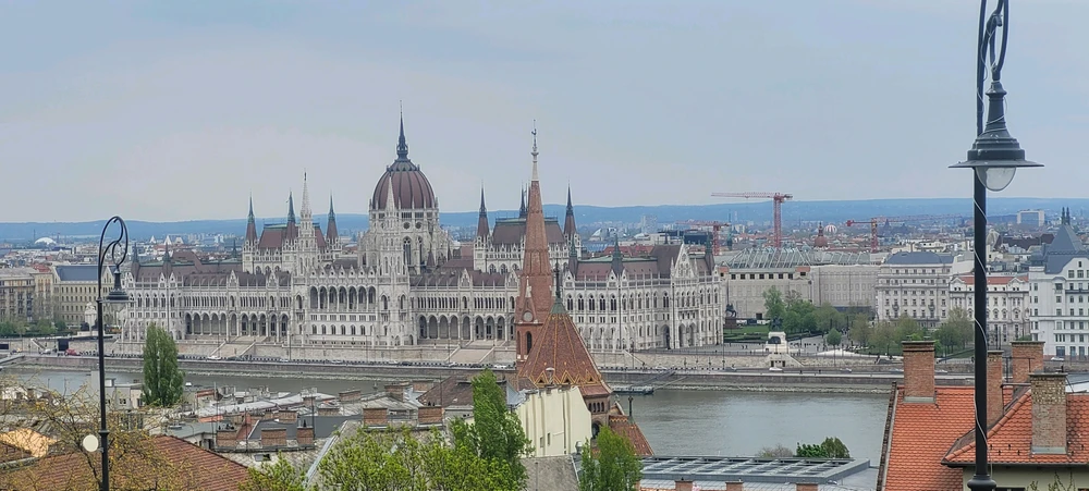 Image uploaded by Oliver