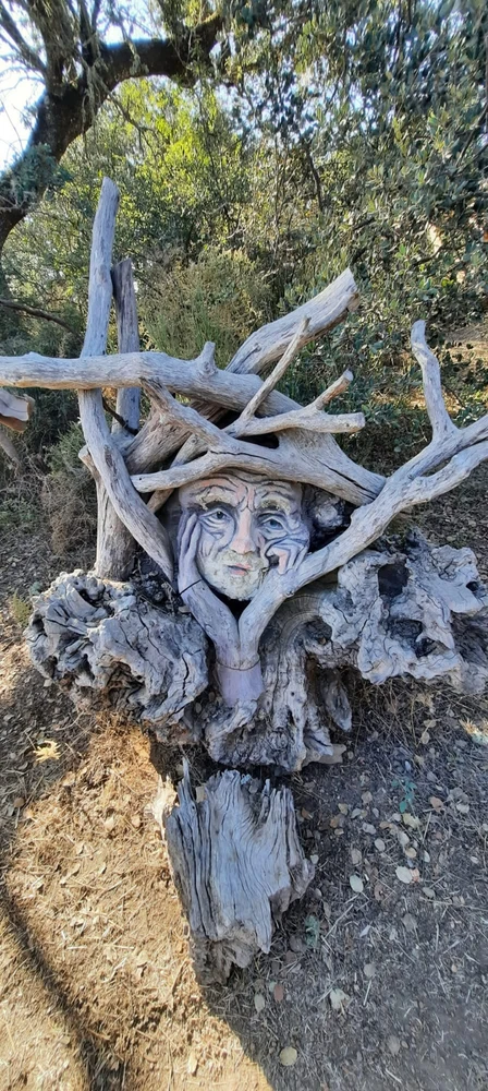 Image uploaded by Rod