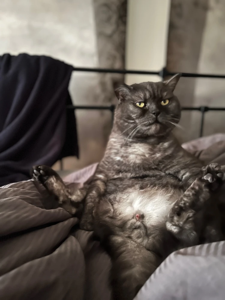 Obrázek nahrál mira
