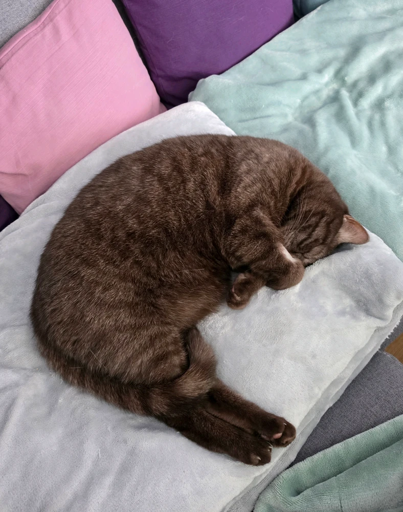 GIF hochgeladen von 𝕁𝕖𝕤𝕤𝕚𝕔𝕒