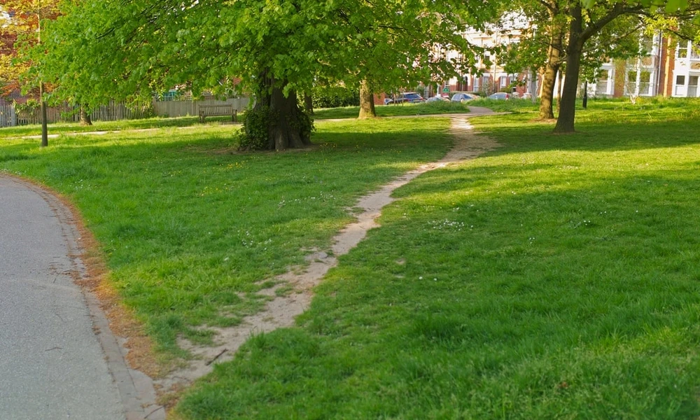 Image ajoutée par Nio