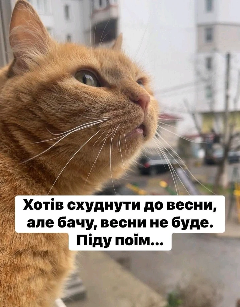 Гіфку завантажив Людмила