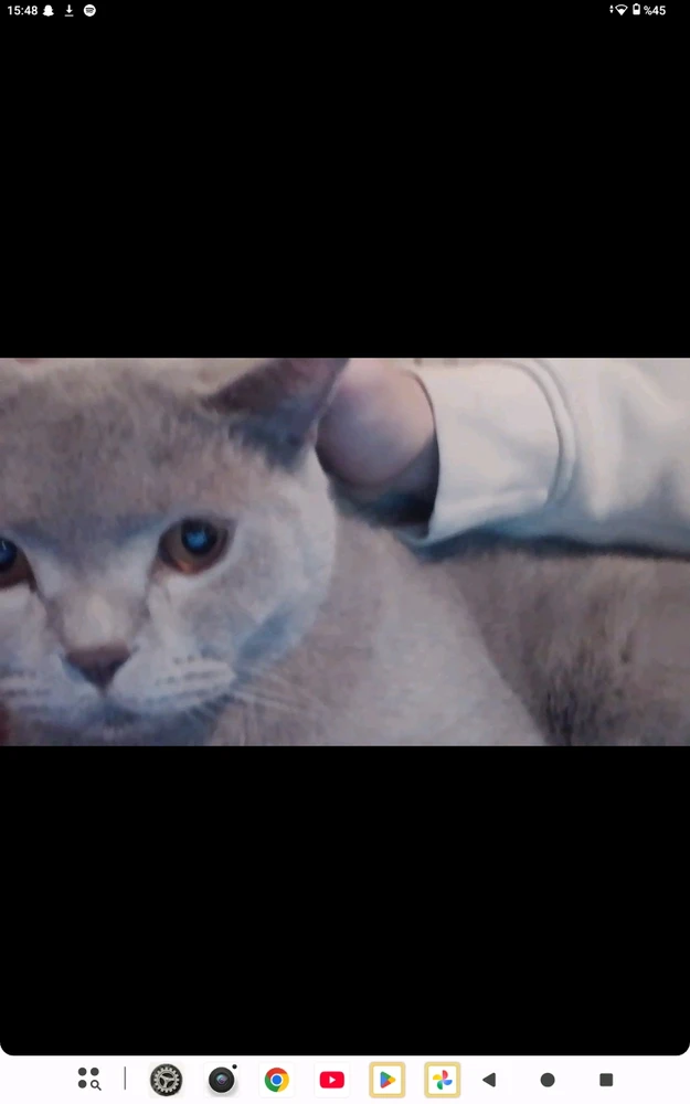 GIF uploaded by sennur