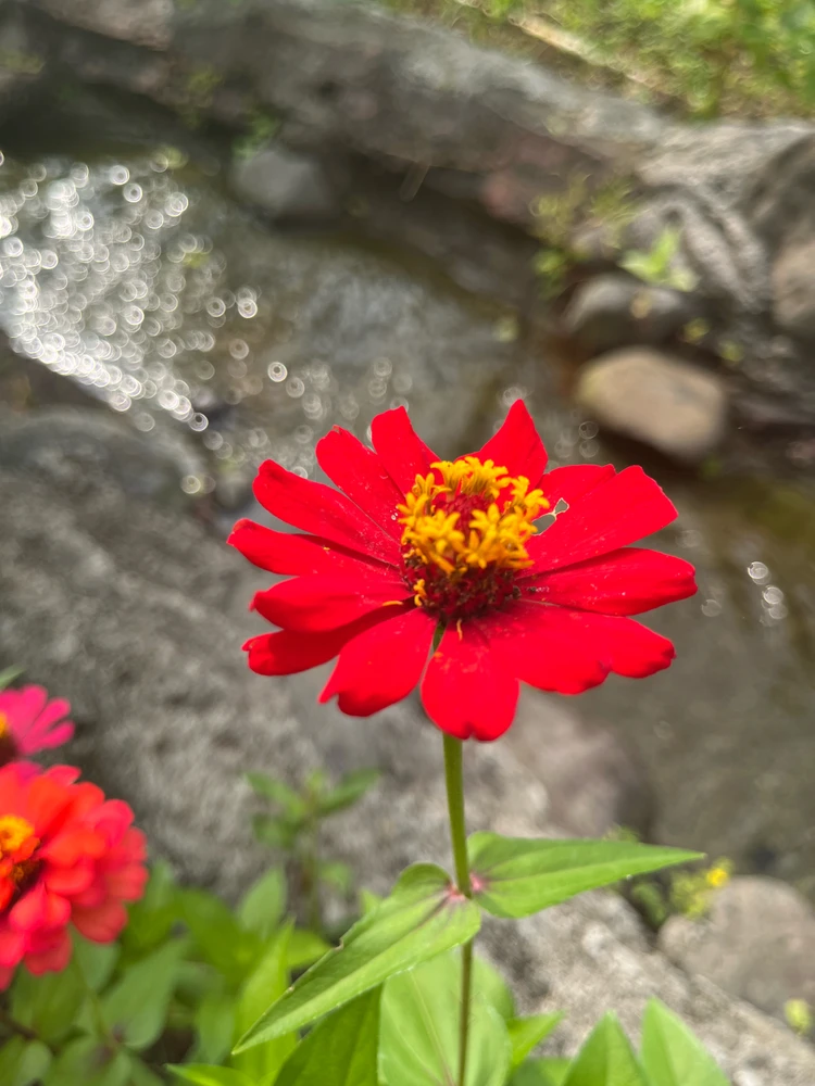 GIF uploaded by wilsen