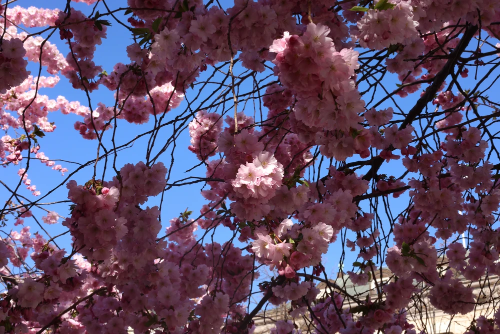 Image uploaded by Niclas