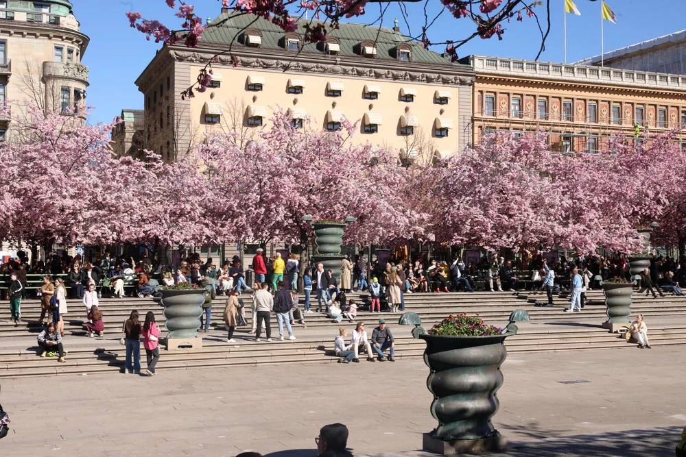 Image uploaded by Niclas