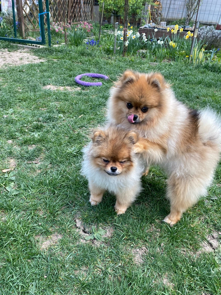 GIF uploaded by Juraj