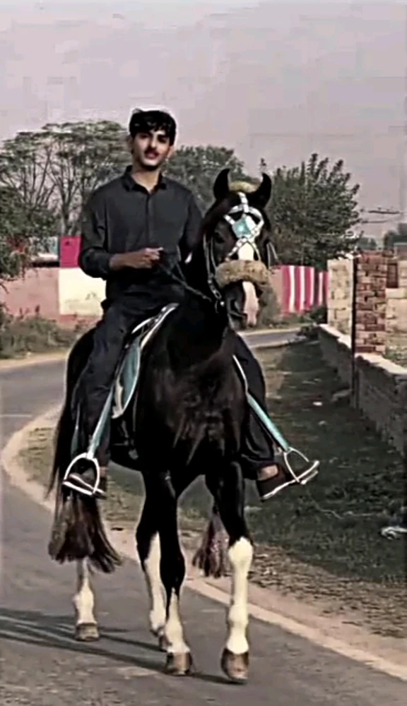 GIF uploaded by Aryan