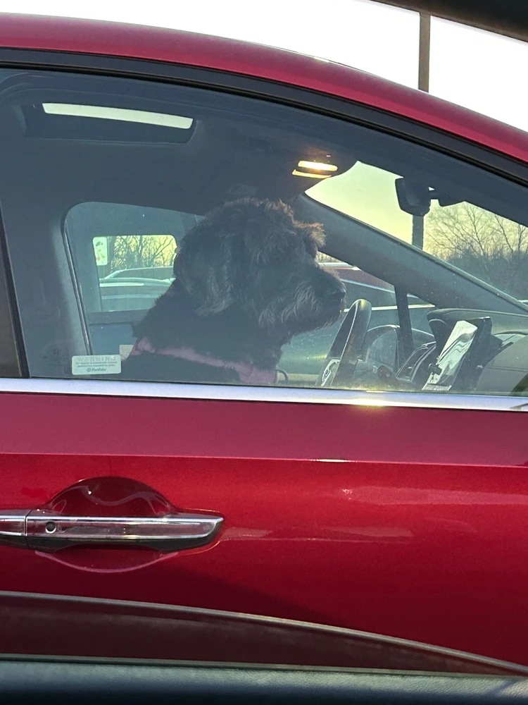 GIF uploaded by Riley