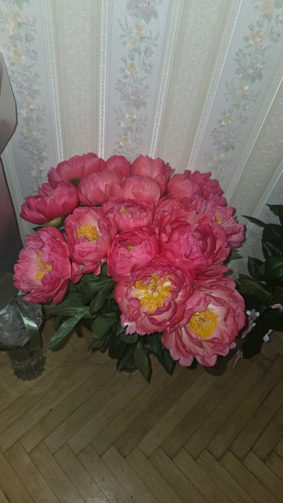 Зображення завантажив Adv