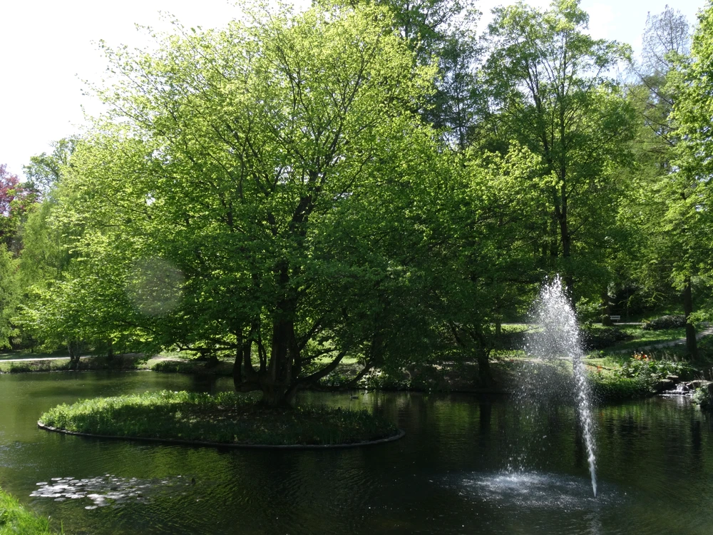 Image uploaded by Roman