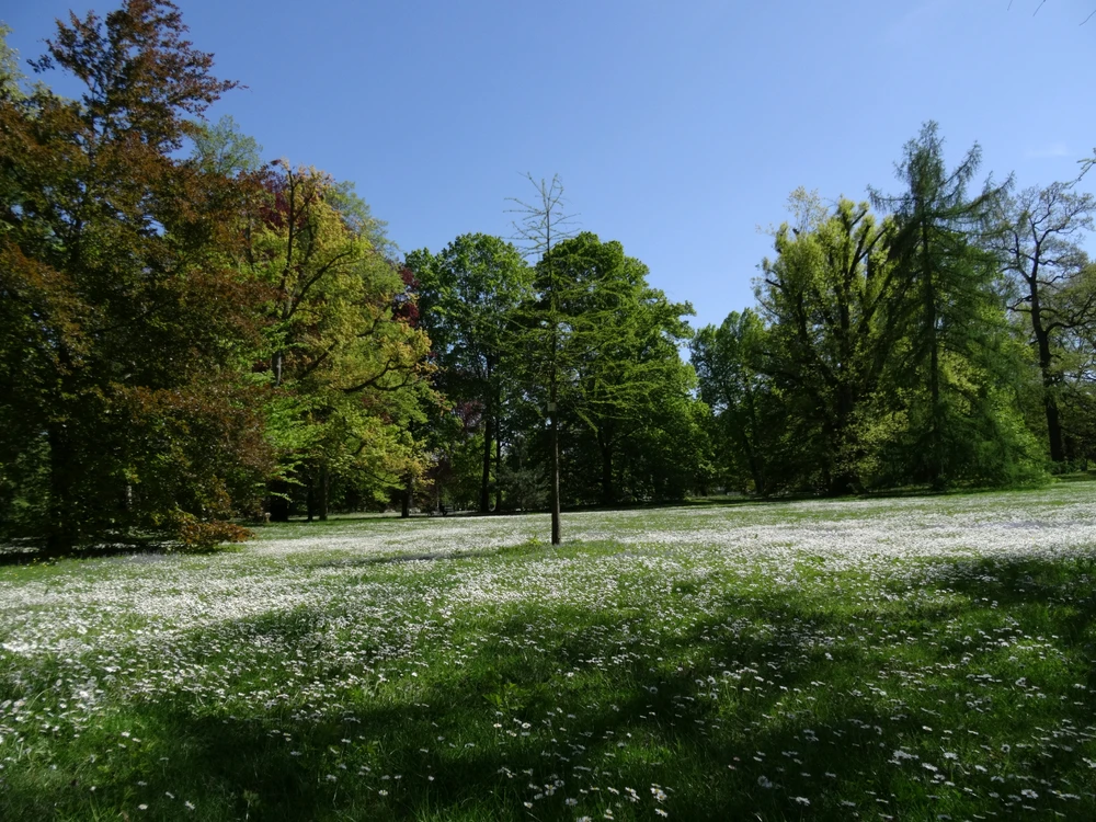 Image uploaded by Roman