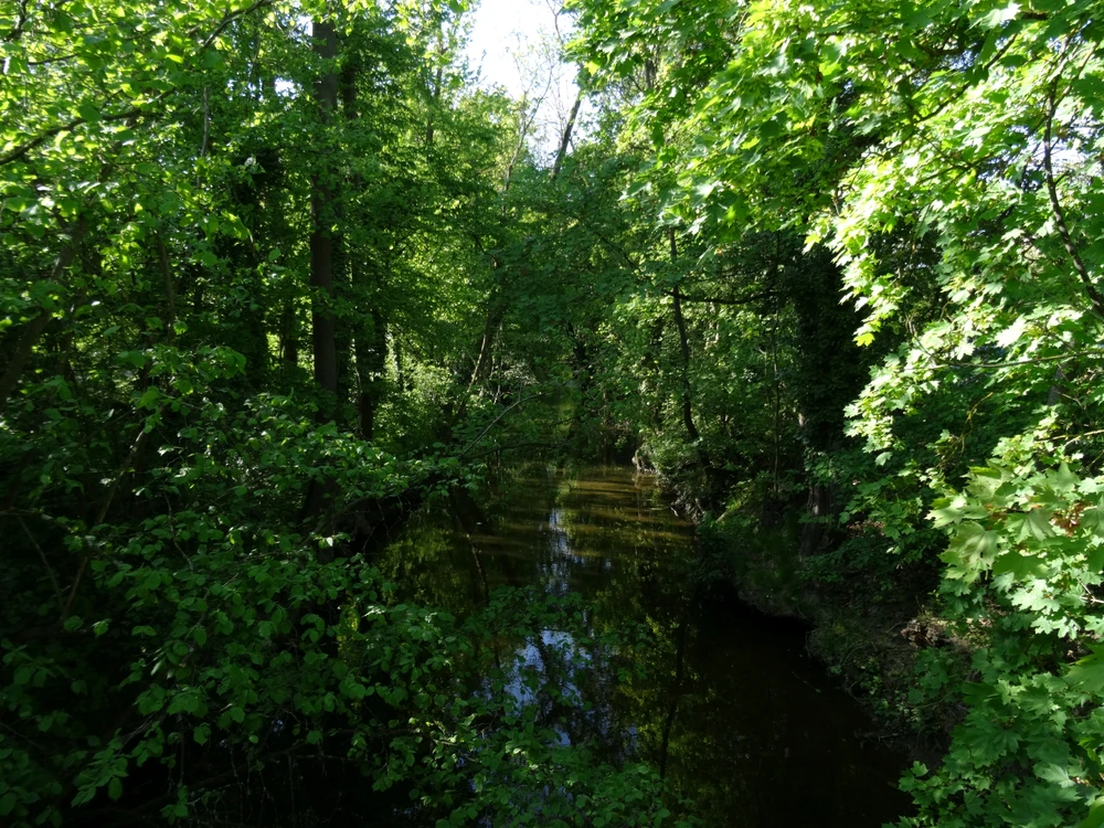 Image uploaded by Roman