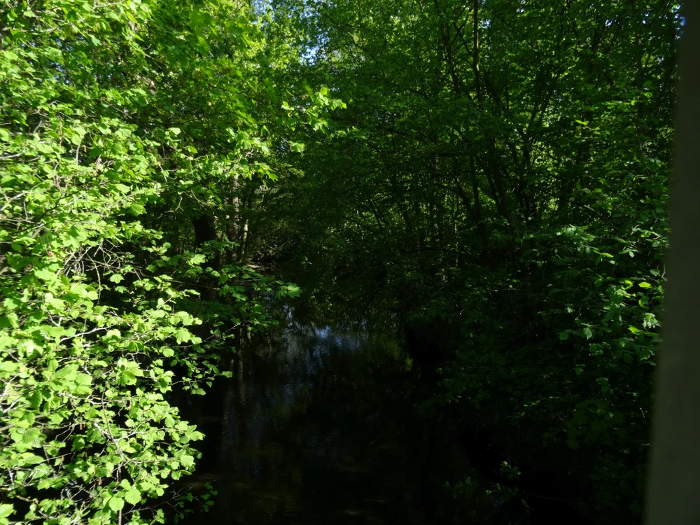 Image uploaded by Roman