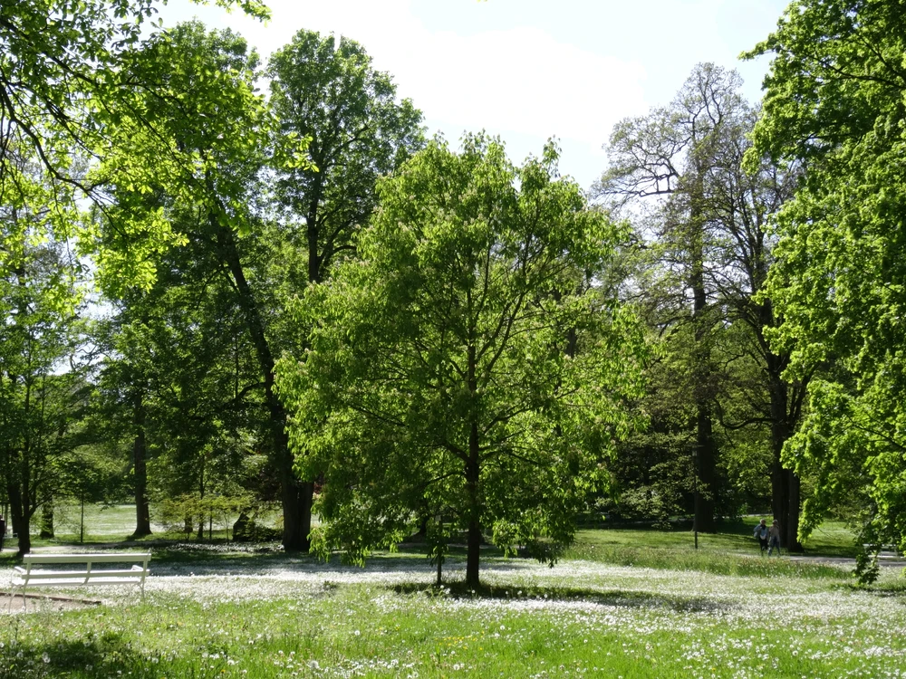 Image uploaded by Roman