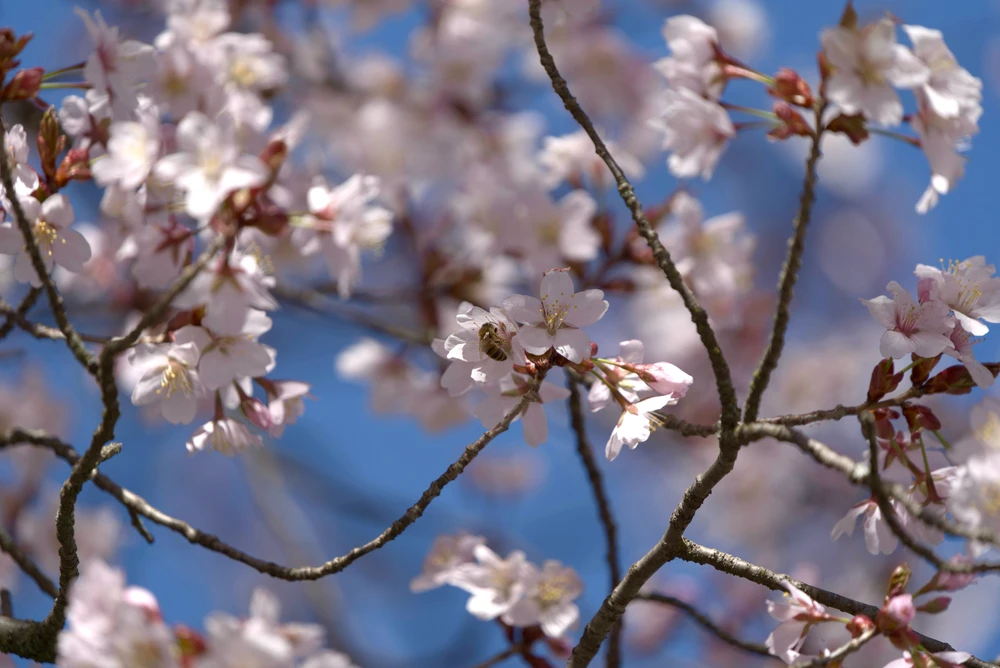 GIF uploaded by Ujal